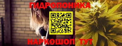 метадон Гусев